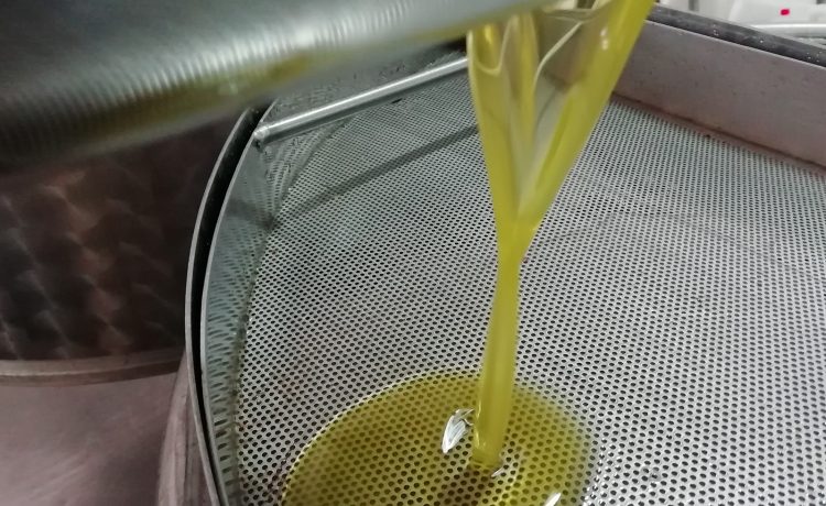 Lavorazione olive fase 6